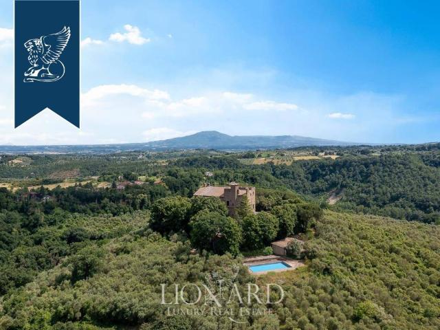 Villa in vendita a Civitella d'Agliano VT