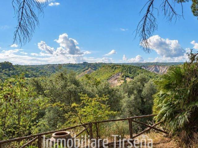 Villa in vendita a Civitella d'Agliano VT