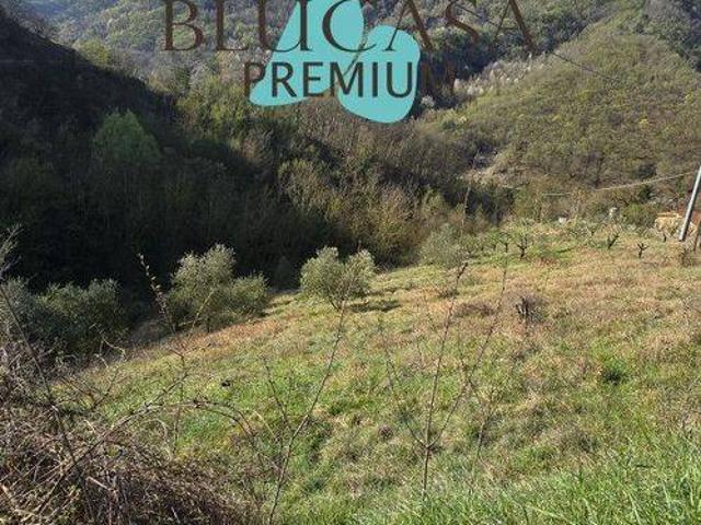 Villa in vendita a Civitella di Romagna FC