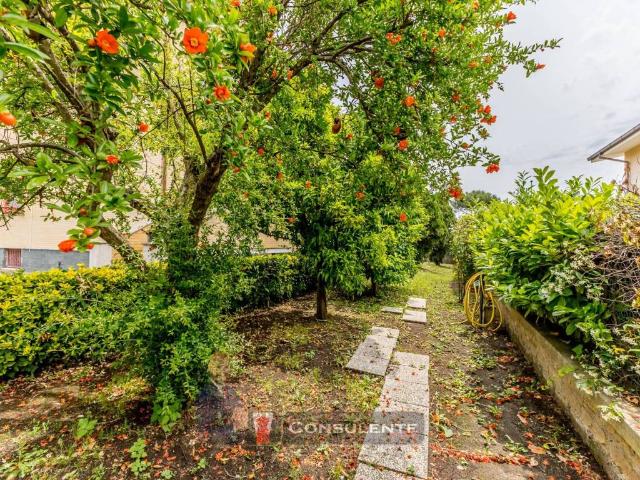 Villa in vendita a Ciampino RM