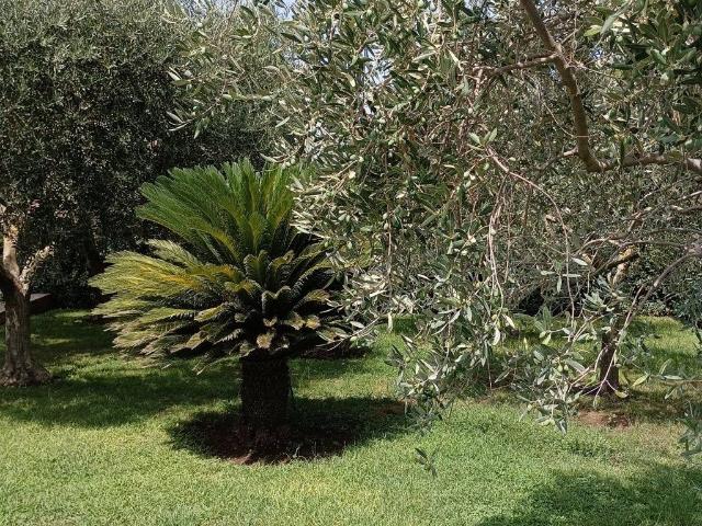 Villa in vendita a Ciampino RM