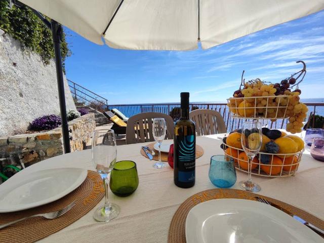 Villa in vendita a Cipressa IM
