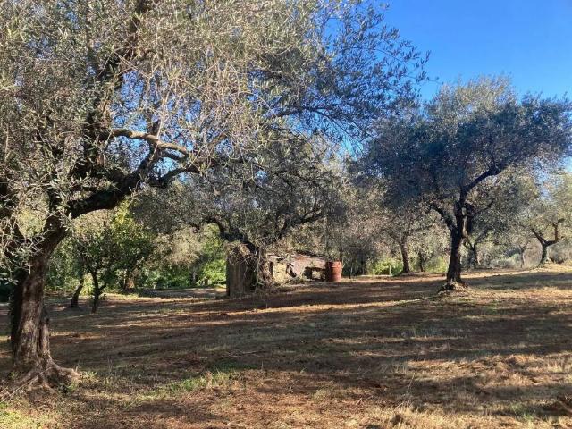 Villa in vendita a Cisterna di Latina LT