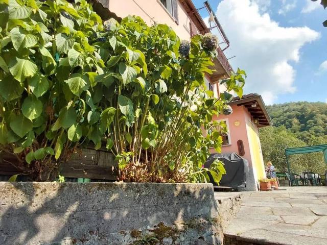 Villa in vendita a Curiglia con Monteviasco VA