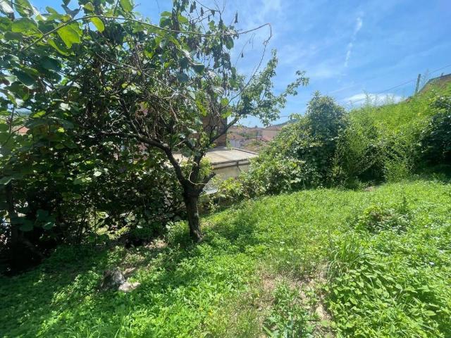 Villa in vendita a Ameglia SP