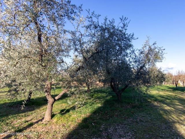 Villa in vendita a Amelia TR