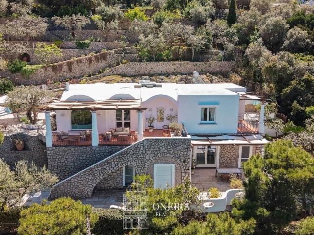 Villa in vendita a Anacapri NA