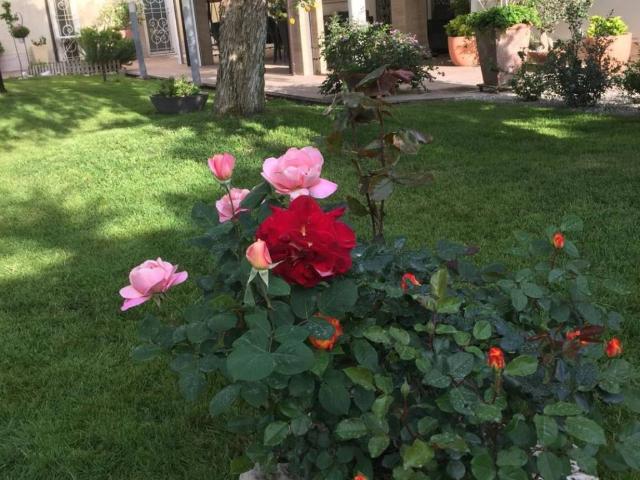 Villa in vendita a Angri SA