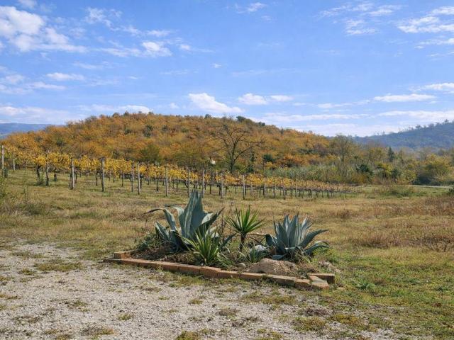 Villa in vendita a Acquasparta TR