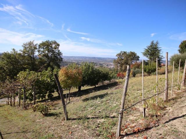 Villa in vendita a Alba CN
