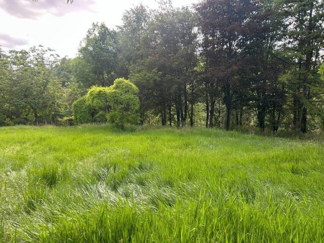 Villa in affitto a Pietra Marazzi AL
