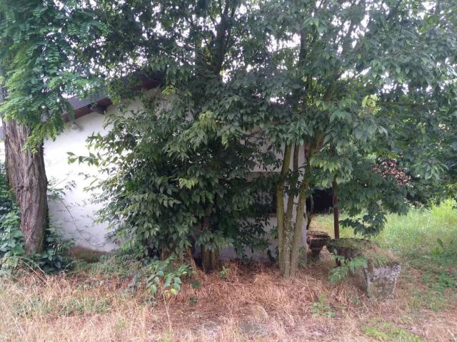 Villa in vendita a Alessandria AL