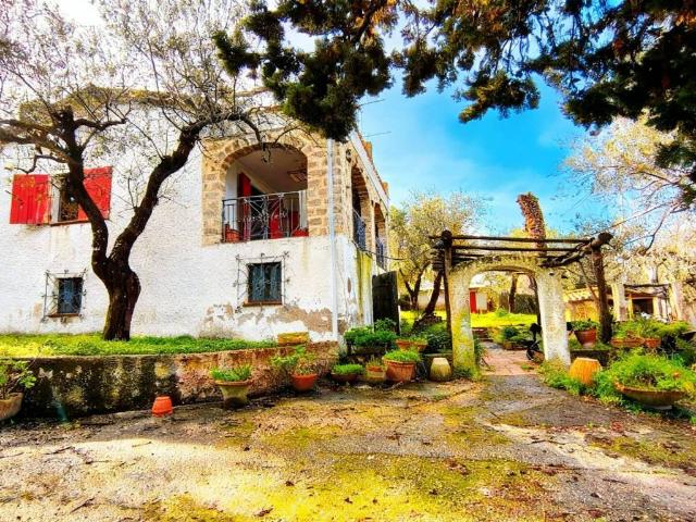 Villa in vendita a Alghero SS
