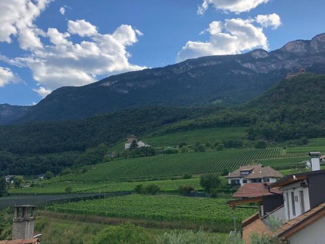 Villa in vendita a Appiano sulla Strada del Vino BZ