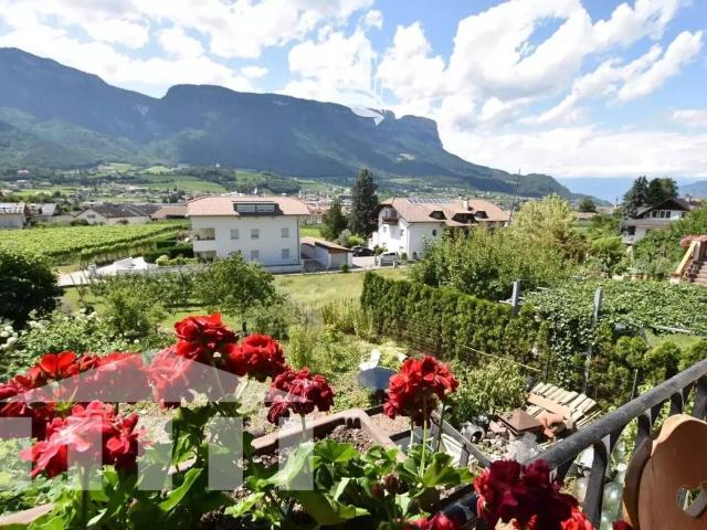 Villa in vendita a Appiano sulla Strada del Vino BZ