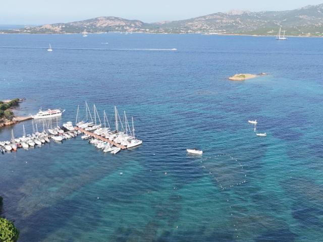 Villa in vendita a Arzachena, Cannigione