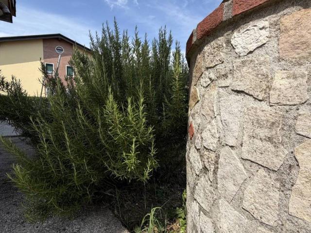Villa in vendita a Arzignano VI