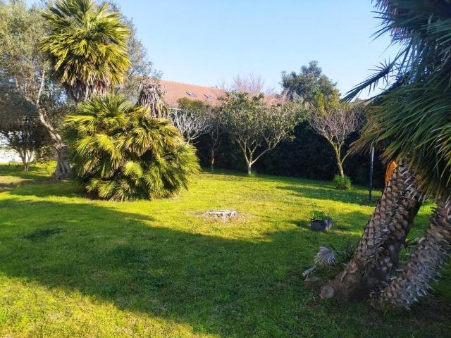 Villa in vendita a Ardea RM
