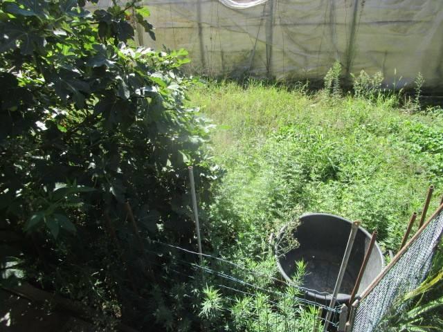 Villa in vendita a Arsago Seprio VA