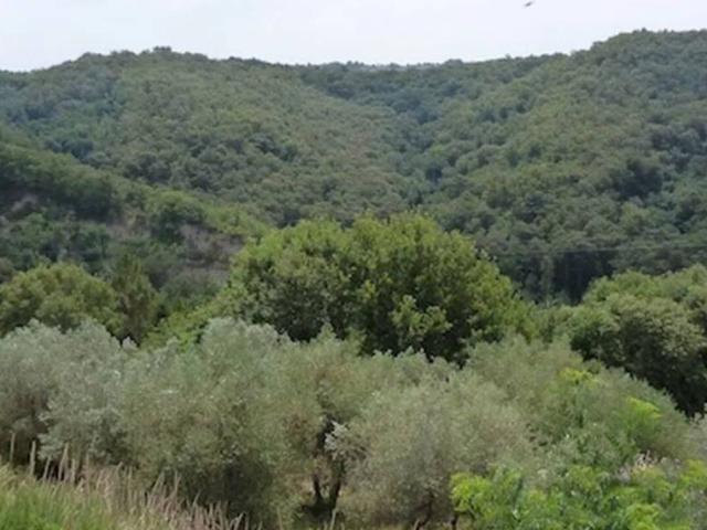 Villa in vendita a Asciano SI
