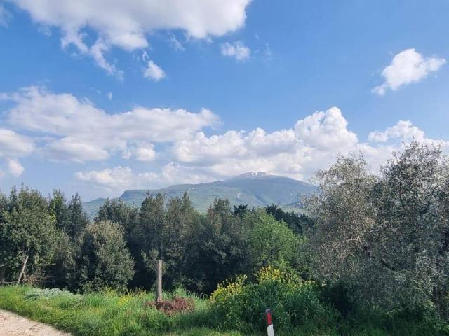 Villa in vendita a Ascoli Piceno AP