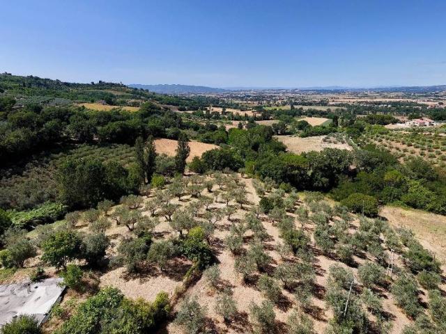 Villa in vendita a Assisi PG