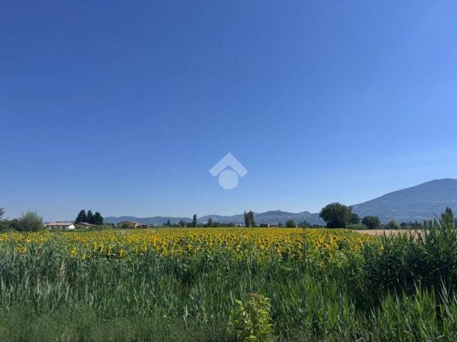 Villa in vendita a Assisi PG