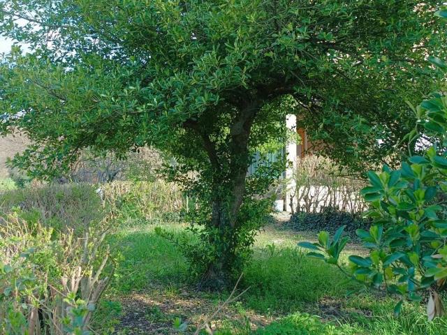 Villa in vendita a Assisi PG
