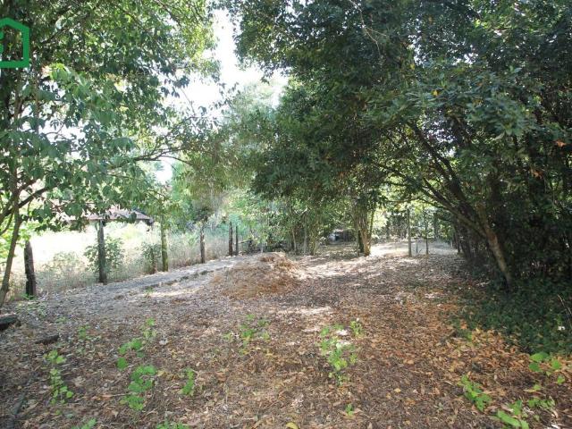 Villa in vendita a Attigliano TR