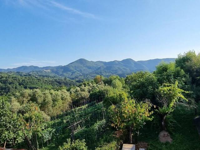 Villa in vendita a Aulla MS