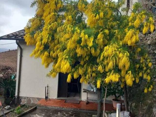 Villa in vendita a Aulla MS