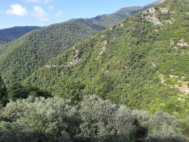 Villa in vendita a Avegno GE