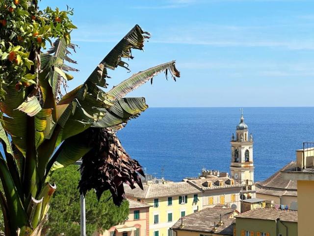 Villa in vendita a Bogliasco GE