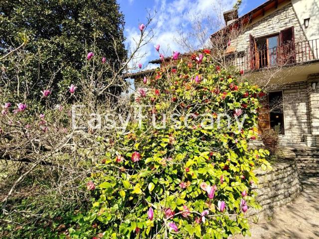 Villa in vendita a Borgo a Mozzano LU