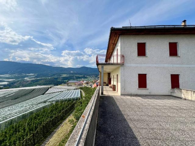 Villa in vendita a Borgo d'Anaunia TN