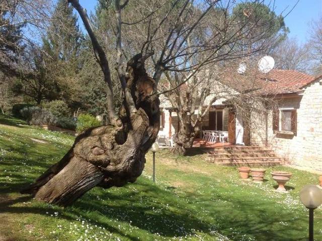 Villa in vendita a Borgo San Lorenzo FI