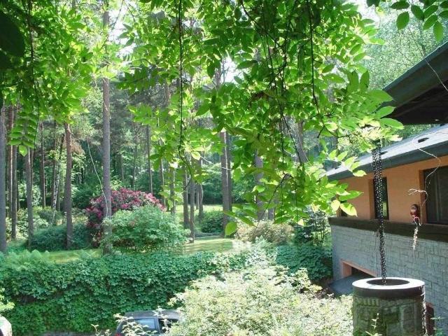 Villa in vendita a Borgo Ticino NO