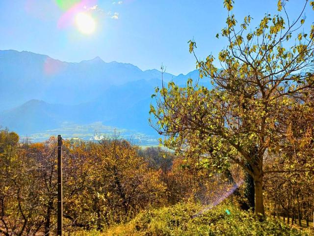 Villa in vendita a Borgo Valsugana TN