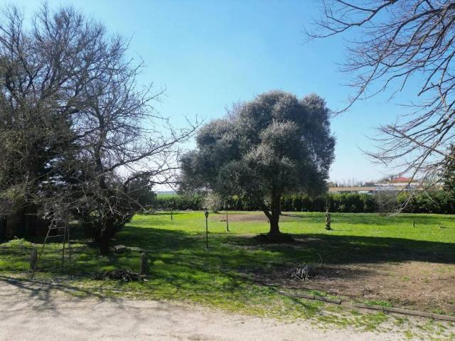 Villa in vendita a Borgo Veneto PD