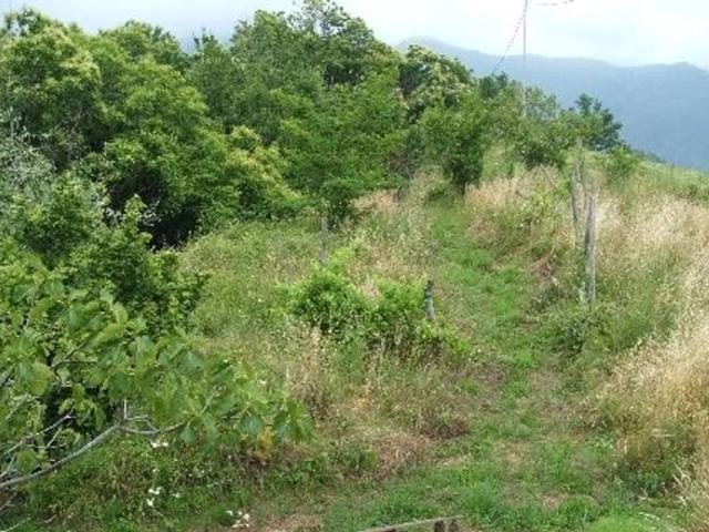 Villa in vendita a Borzonasca GE