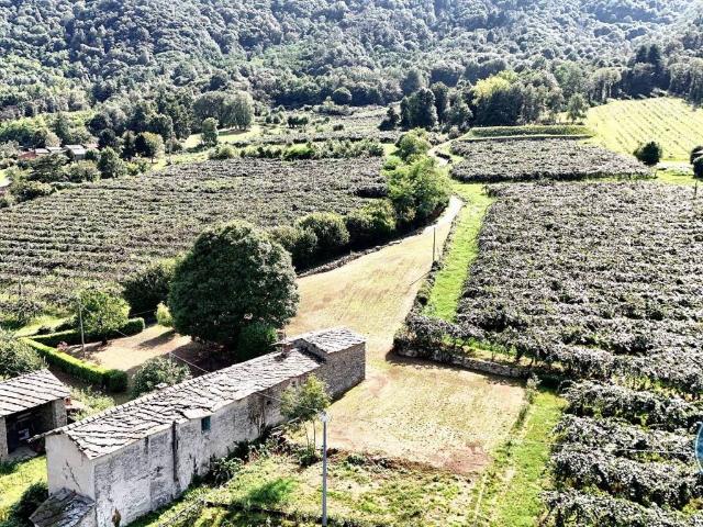 Villa in vendita a Barge CN