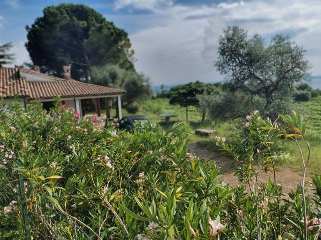 Villa in vendita a Bardolino VR