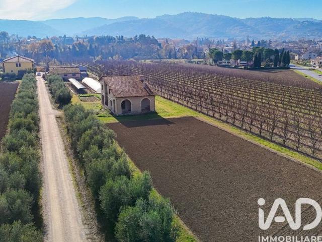 Villa in vendita a Bettona PG