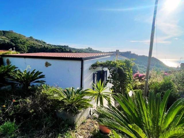 Villa in vendita a Belvedere Marittimo CS