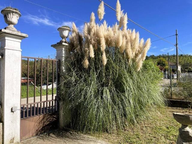 Villa in vendita a Bergamasco AL