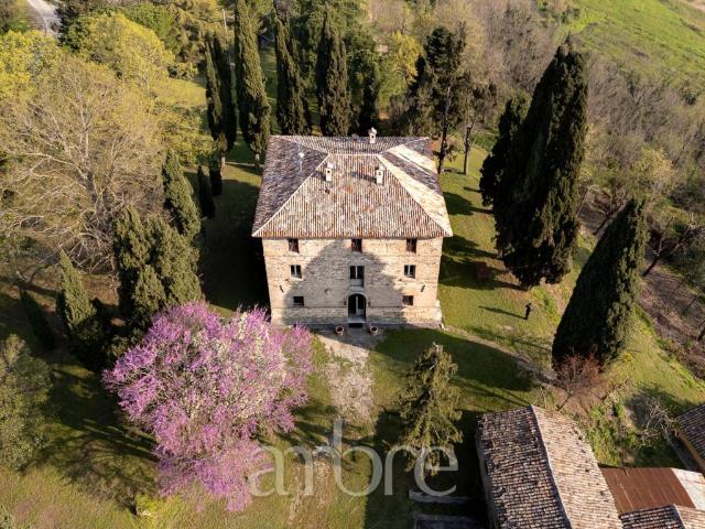 Villa in vendita a Bertinoro FC