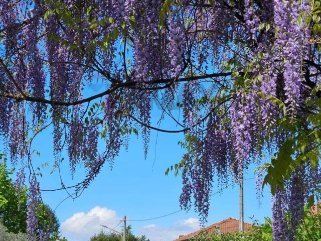 Villa in vendita a Biandronno VA