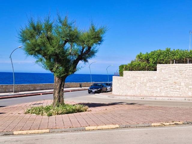 Villa in vendita a Bisceglie BT