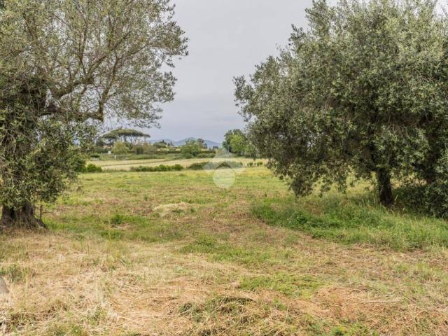 Villa in vendita a Bracciano RM