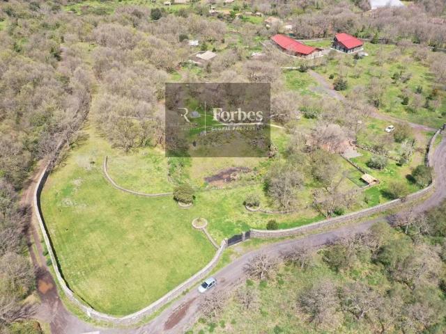 Villa in vendita a Bronte CT